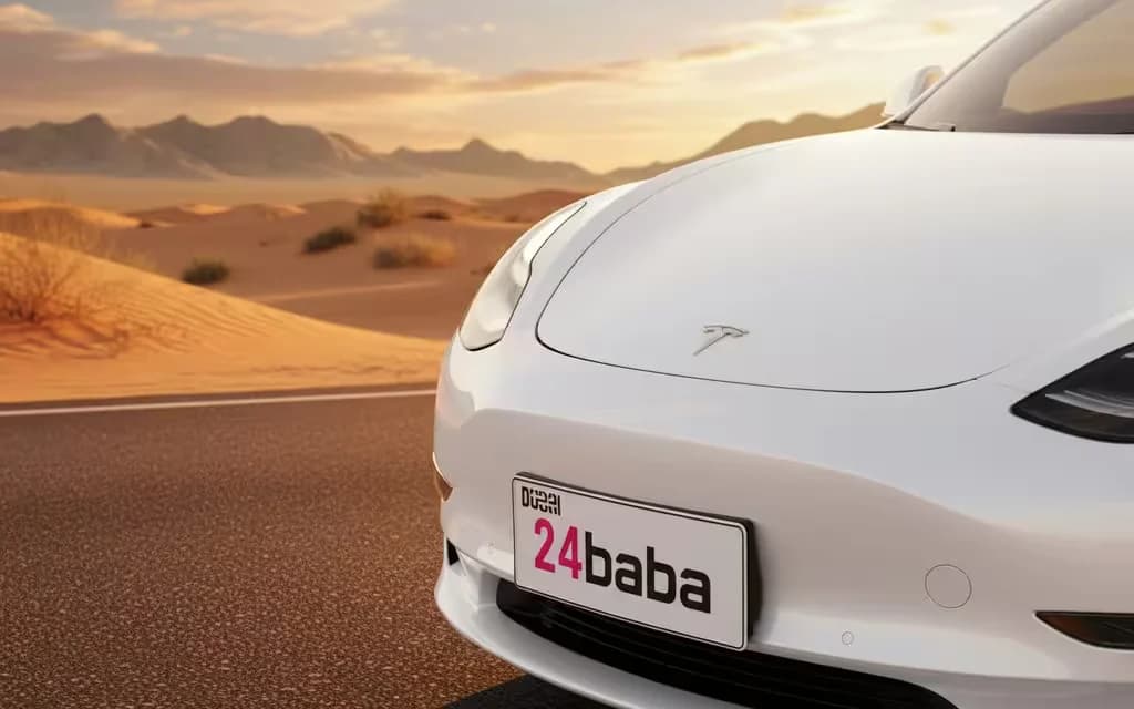 Tesla Model3 3 04